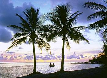 Old Bahama Bay Resort & Yacht Harbour