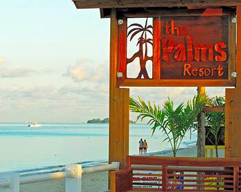 Negril Palms