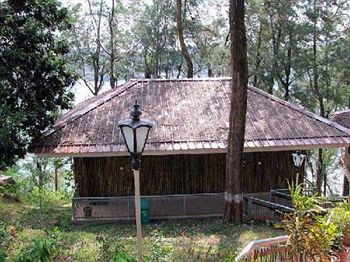 Hotel Megapode Nest