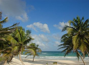 CabaÃ±as Tulum