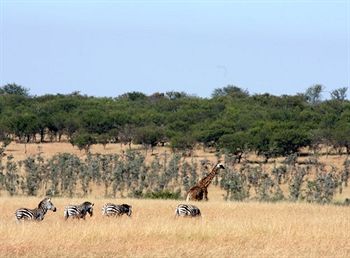 Lemala Ewanjan Camp