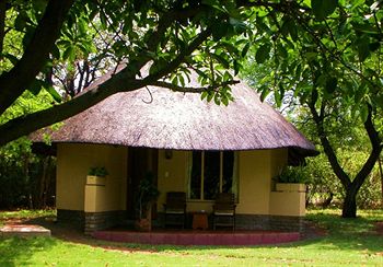 Sefapane Lodge and Safaris