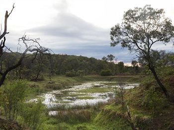 Birdsong Cottages